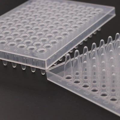 pcr plate5 pcr plate5