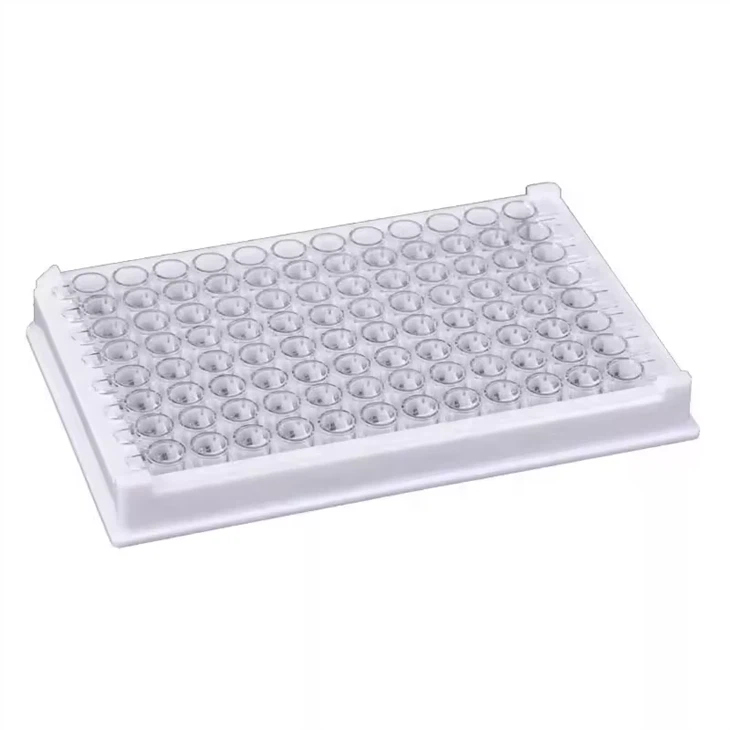 24 Well Pcr Plate Supplier