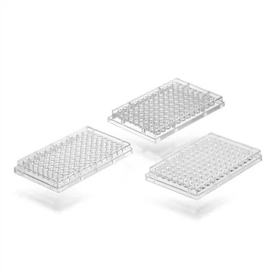 24 Well Pcr Plate Supplier