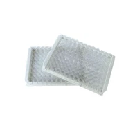 Pcr Well Plate Wholesale